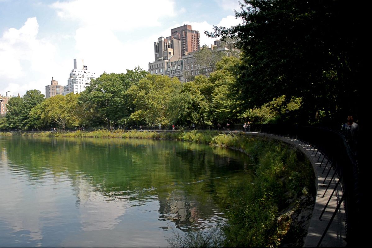 33D Jackie Kennedy Onassis Reservoir In Summer In Central Park